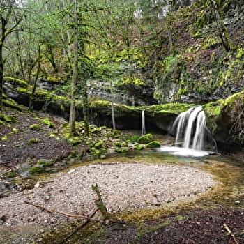 De le Vouivre à Cinquétral - SAINT-CLAUDE