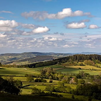 Les crêtes boisées du Mâconnais - MACON