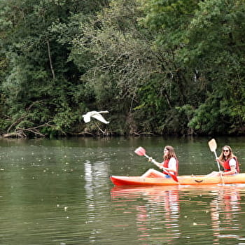 Au fil de la Saône - HEUILLEY-SUR-SAONE