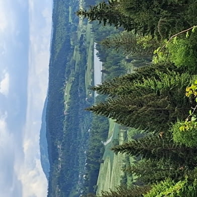 Les Granges-Dessus - n°81