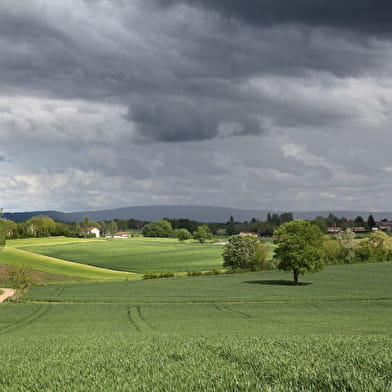 Circuit VTT-VTC n°2 (bleu) - Grand tour des lacs