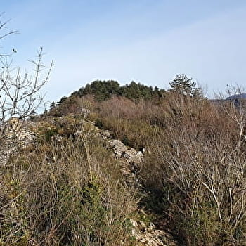 Randonnée - Treffort et le belvédère du Mont de Grillerin - VAL-REVERMONT