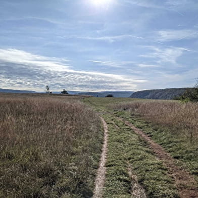 Sentier Courbet 2 : Courbet, l'habitant du vallon