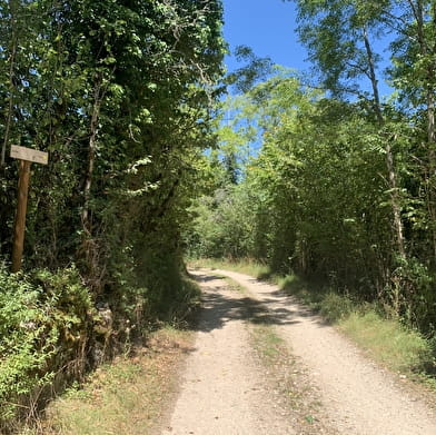 Randonnée - Le sentier du bois de Ban