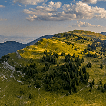 Randonnée pédestre : La Grande Marche Populaire de Gex - GEX