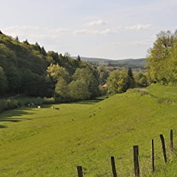 Montagnes du Lomont - L'ISLE-SUR-LE-DOUBS