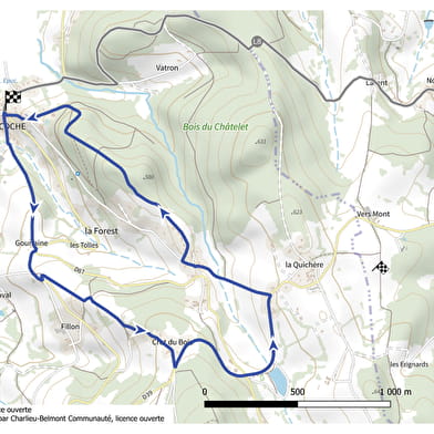 Itinéraire VTT : circuit 20 bleu, base Belmont-de-la-Loire