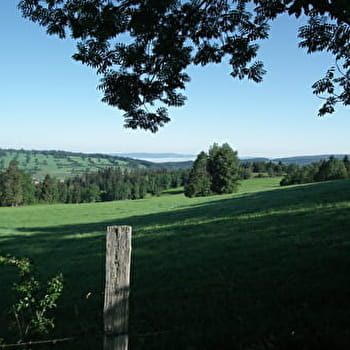 Chemin du Fer - LONGEVILLES-MONT-D'OR
