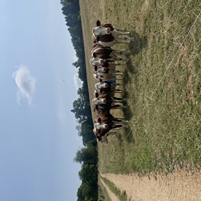 Le bénéfice du Doubs