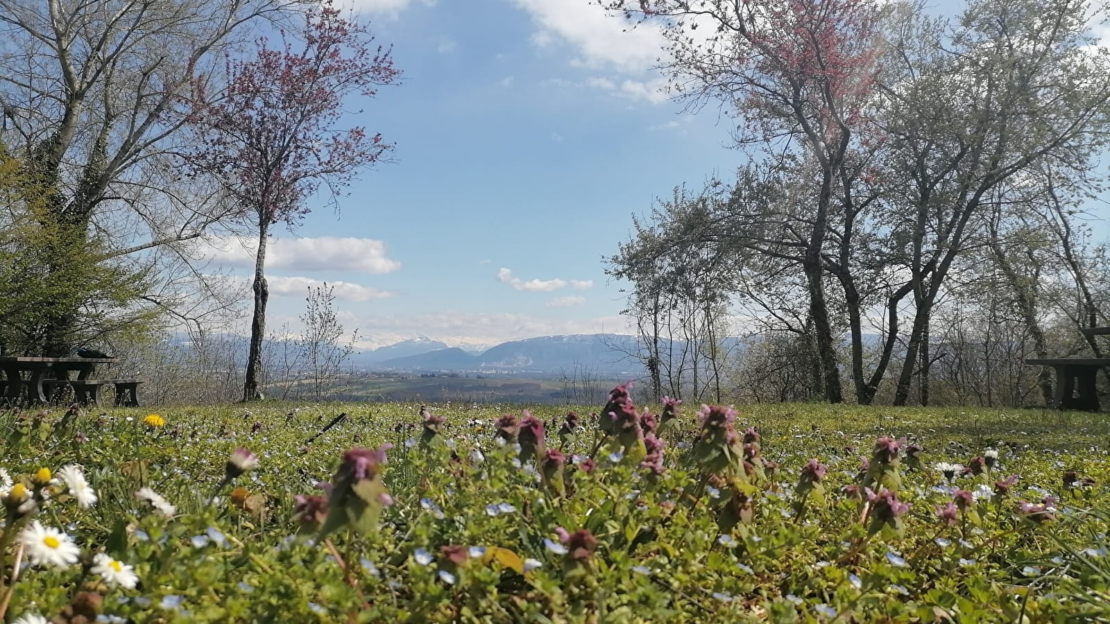 Balade à Thoiry : ' en Molie'