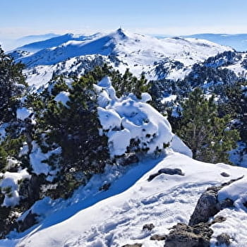 Sentier raquettes de Lélex au Crêt de la Neige - LELEX