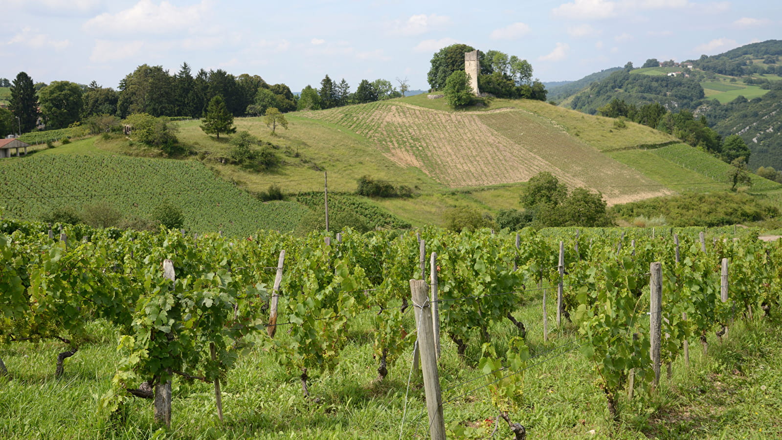 Sentier 'Breignes - Mérignat' à Poncin