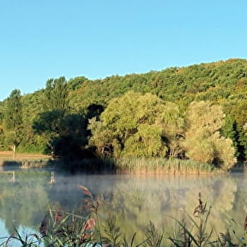 Le sentier du Marais d'Andryes - ANDRYES