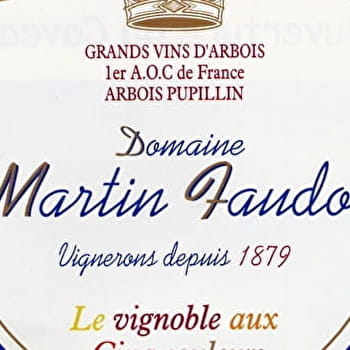 Domaine Martin Faudot & Fils - MESNAY