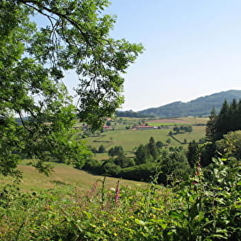 Circuit des Collines - GIBLES