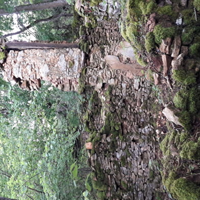 Randonnée pédestre : La Montagne des Princes