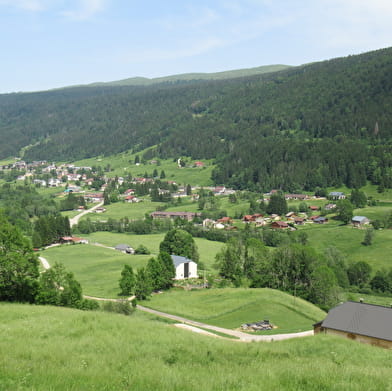 Randonnée pédestre : Lélex - belvédère du Truchet