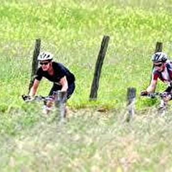VTT dans les Monts de Gy : Circuit 56 'Le bois de Natoy' - GY