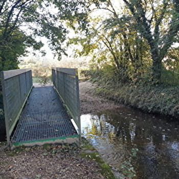 Balade autour de la confluence de la Reyssouze et du Jugnon - ATTIGNAT