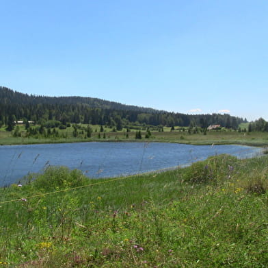 Grandvaux, Malvaux, au fil de l’eau