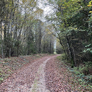 Randonnée - Le Belvédère de Sérémond