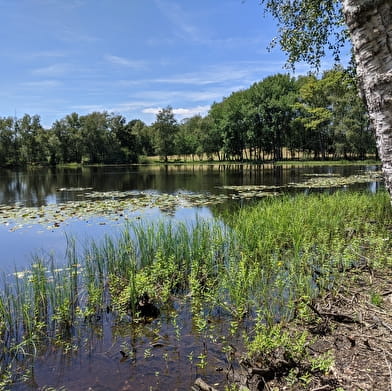 Le Sentier du Bois des Hauts