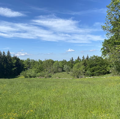 Randonnée - Les Roches d'Orvaz