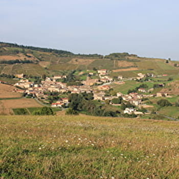 Circuit gland de chêne - JULLIE