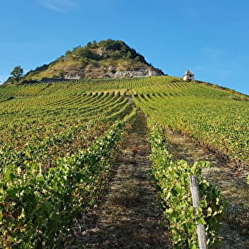 Maison Bonnard - SEILLONNAZ