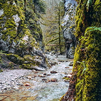 Randonnée pédestre : le Creux de l'Envers - GEX