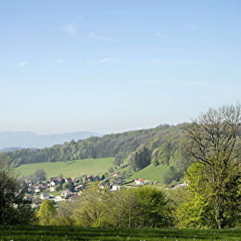 Les Grands Prés - PUGEY