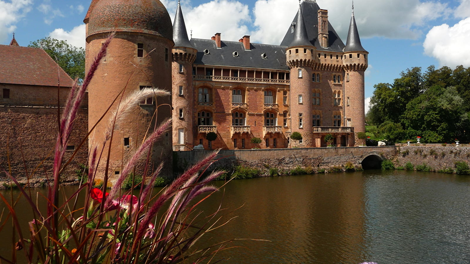 Flore et Faune en Bord de Lac