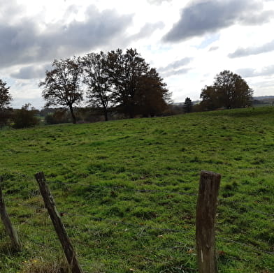 Randonnée - Bois de Fougemagne & Vallées Solnan-Sevron