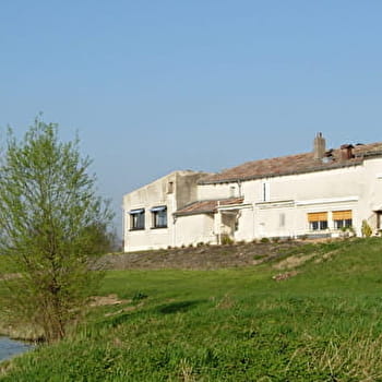 Circuit randonnée : La prairie - ASNIERES-SUR-SAONE