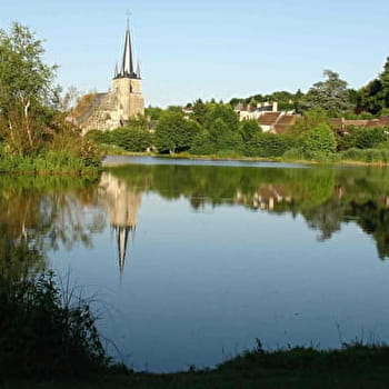 Camerolle - SAINT-PRIVE