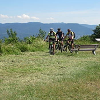 Le Salbert - BELFORT