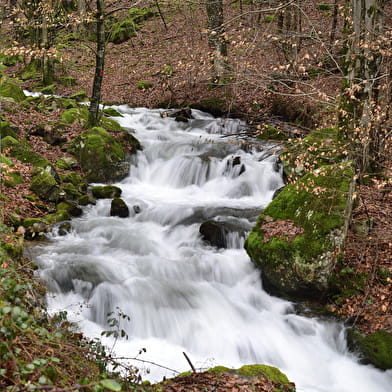 La vallée de la Savoureuse