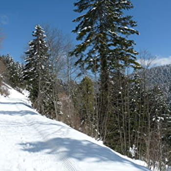 La chapelle de Mazières - Circuit raquettes - PLATEAU D'HAUTEVILLE