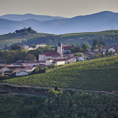 Circuit de Chiroubles