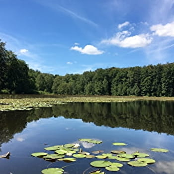 Circuit des Pierres et des Etangs - RADDON-ET-CHAPENDU