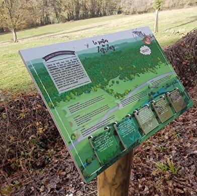 En forêt autour de Cessy-les-Bois