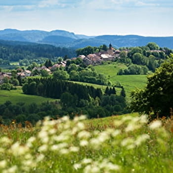 Le Val de Mièges - 28R - CERNIEBAUD