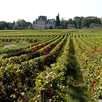 Sentier des deux 'Cent Marches' - BROCHON