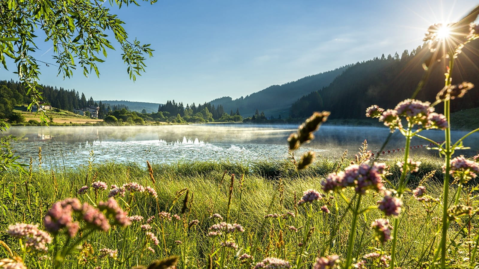 La Grande Traversée du Jura à pied - GTJ pédestre