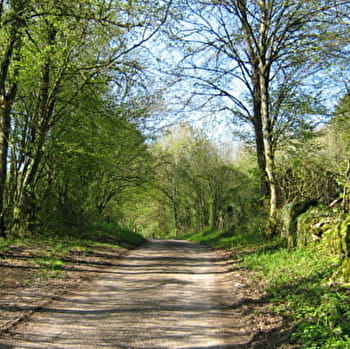 De la croix de Cassini au Plateau de Cita - NAVENNE