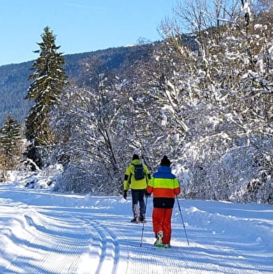 Piste multi-activités : le Niaizet