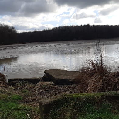 Randonnée - Etang des Baisses et ferme de Bévey
