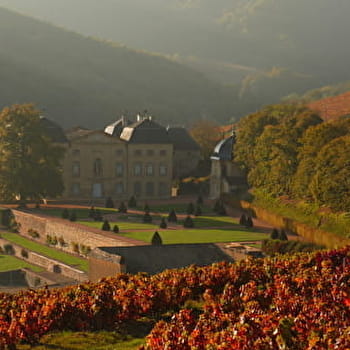 Circuit Feuille de vigne - JULLIE