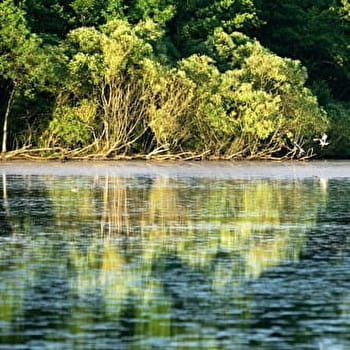 GRP de la Bresse Comtoise - CHAUMERGY