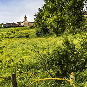 Chemin des Moines - MONTCEAUX-L'ETOILE